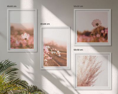Composizione di 4 quadri Fiori selvatici nei prati d'estate