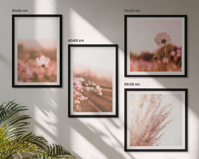 Composizione di 4 quadri Fiori selvatici nei prati d'estate