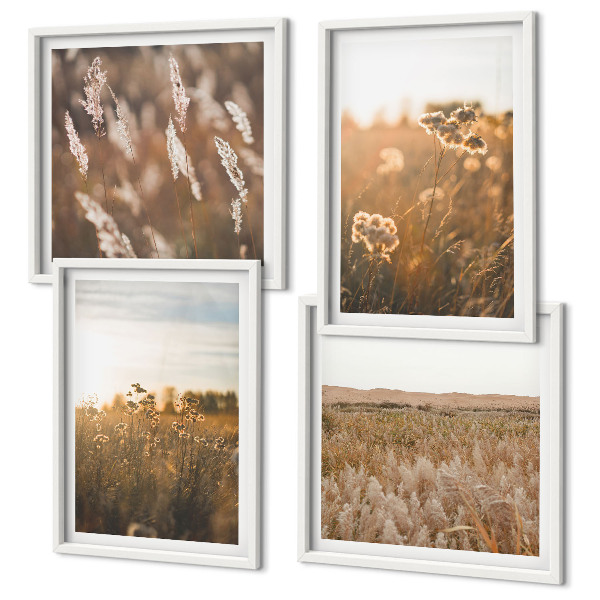 Composizione di 4 quadri Fiori dei prati estivi al tramonto
