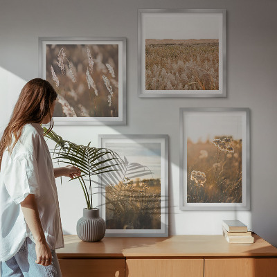 Composizione di 4 quadri Fiori dei prati estivi al tramonto