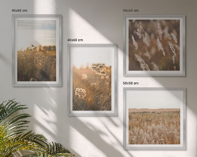 Composizione di 4 quadri Fiori dei prati estivi al tramonto