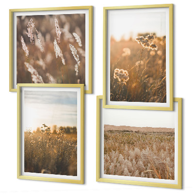 Composizione di 4 quadri Fiori dei prati estivi al tramonto