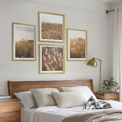 Composizione di 4 quadri Fiori dei prati estivi al tramonto
