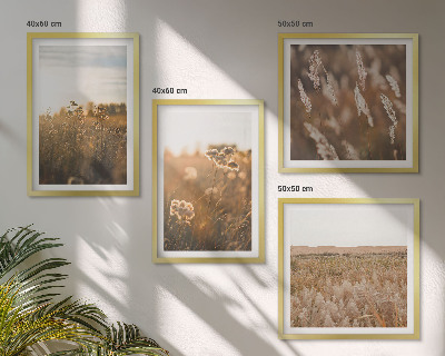 Composizione di 4 quadri Fiori dei prati estivi al tramonto