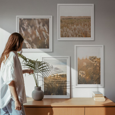 Composizione di 4 quadri Fiori dei prati estivi al tramonto