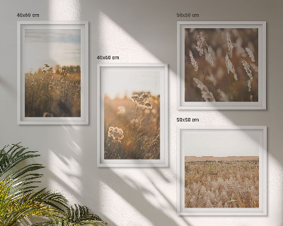 Composizione di 4 quadri Fiori dei prati estivi al tramonto