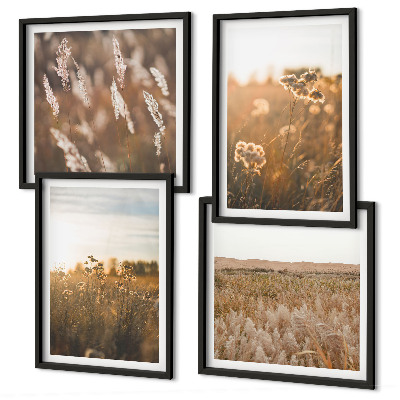 Composizione di 4 quadri Fiori dei prati estivi al tramonto