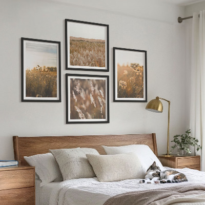 Composizione di 4 quadri Fiori dei prati estivi al tramonto