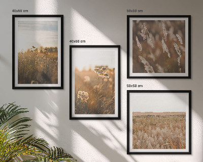 Composizione di 4 quadri Fiori dei prati estivi al tramonto