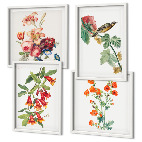 Composizione di 4 quadri Fiori dipinti uccello retrò