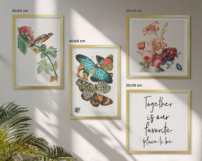 Composizione di 4 quadri Fiori farfalle uccello pastello