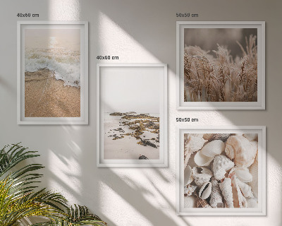 Composizione di 4 quadri Spiaggia erba onde pietre boho
