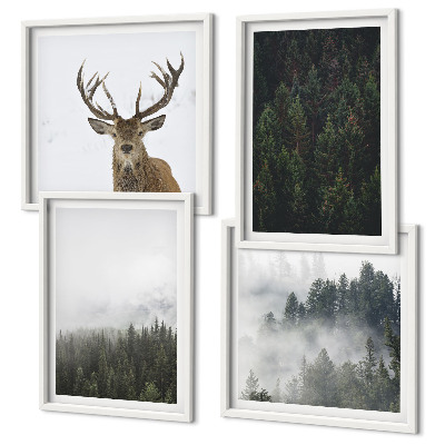 Galleria a parete Paesaggio nebbioso di foreste verdi