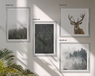 Galleria a parete Paesaggio nebbioso di foreste verdi
