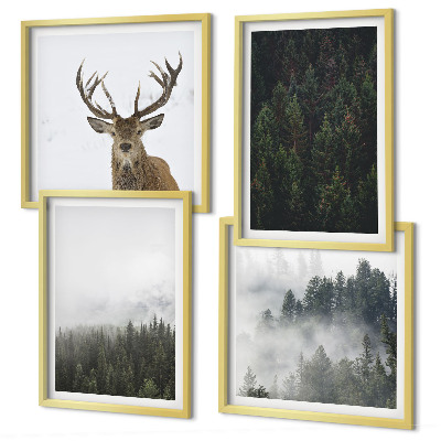 Galleria a parete Paesaggio nebbioso di foreste verdi