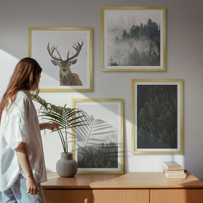 Galleria a parete Paesaggio nebbioso di foreste verdi