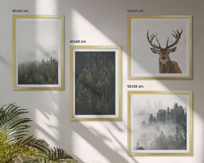 Galleria a parete Paesaggio nebbioso di foreste verdi