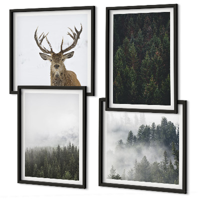 Galleria a parete Paesaggio nebbioso di foreste verdi