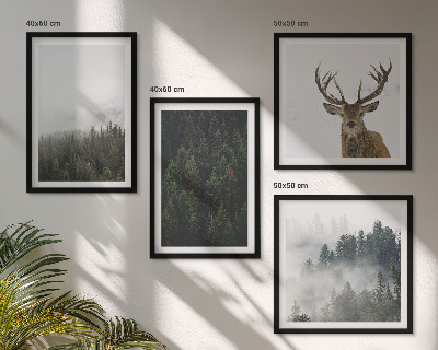 Galleria a parete Paesaggio nebbioso di foreste verdi