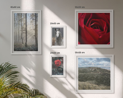 Polittico con cornice Fiori naturali in diversi stili