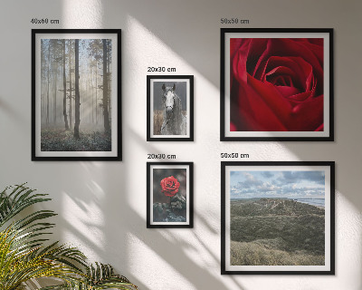 Polittico con cornice Fiori naturali in diversi stili