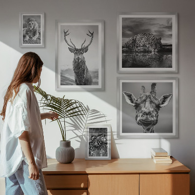 Polittico con cornice Animali in bianco e nero nella natura