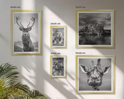 Polittico con cornice raffigurante animali in bianco e nero nella natura