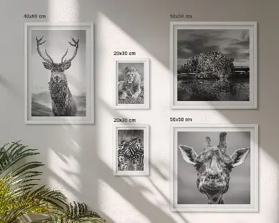 Polittico con cornice raffigurante animali in bianco e nero nella natura