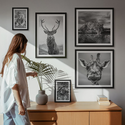 Polittico con cornice Animali in bianco e nero nella natura