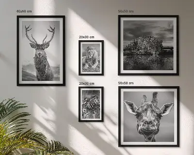 Polittico con cornice raffigurante animali in bianco e nero nella natura