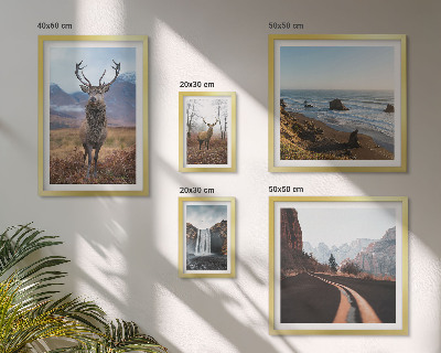 Set di quadri incorniciati Natura, animali selvatici, paesaggi
