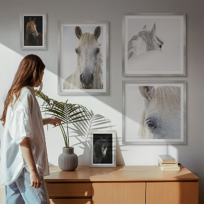 Set di quadri incorniciati Ritratti di cavalli in stili artistici