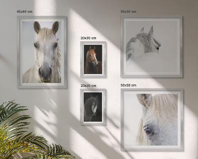 Set di quadri incorniciati Ritratti di cavalli in stili artistici
