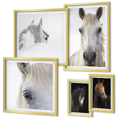 Set di quadri incorniciati Ritratti di cavalli in stili artistici