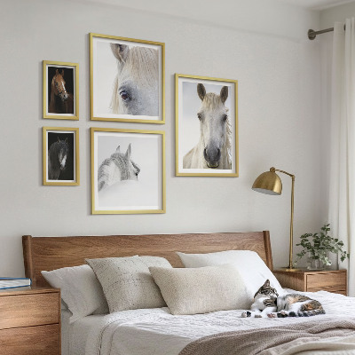 Set di quadri incorniciati Ritratti di cavalli in stili artistici