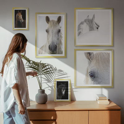 Set di quadri incorniciati Ritratti di cavalli in stili artistici