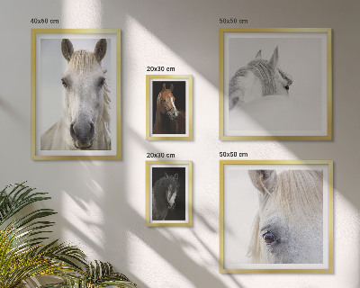 Set di quadri incorniciati Ritratti di cavalli in stili artistici