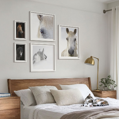 Set di quadri incorniciati Ritratti di cavalli in stili artistici
