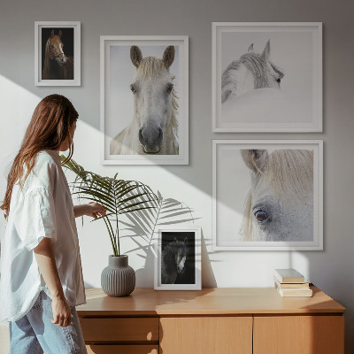 Set di quadri incorniciati Ritratti di cavalli in stili artistici