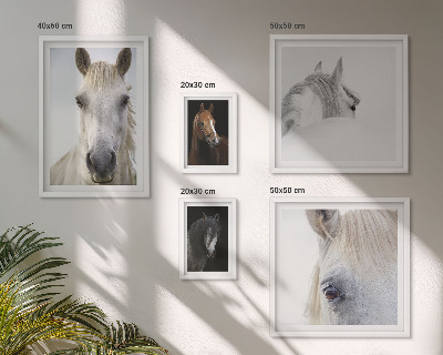 Set di quadri incorniciati Ritratti di cavalli in stili artistici
