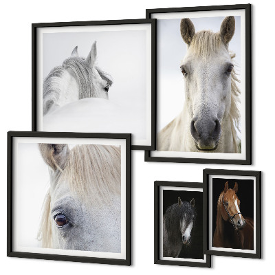 Set di quadri incorniciati Ritratti di cavalli in stili artistici