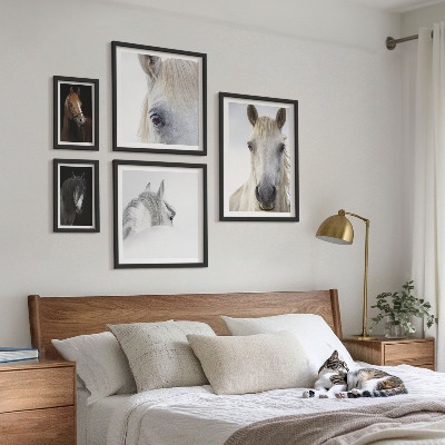 Set di quadri incorniciati Ritratti di cavalli in stili artistici