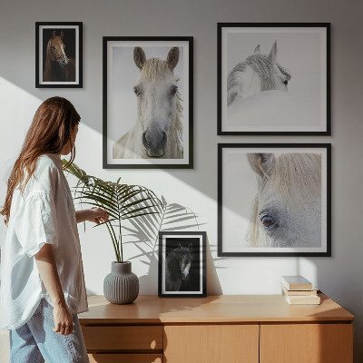 Set di quadri incorniciati Ritratti di cavalli in stili artistici