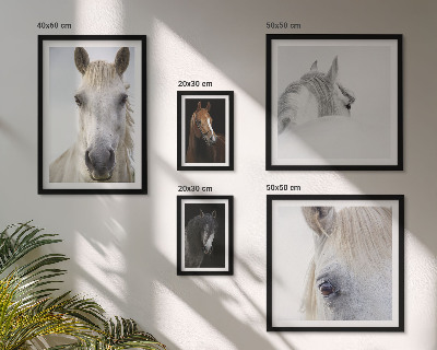 Set di quadri incorniciati Ritratti di cavalli in stili artistici