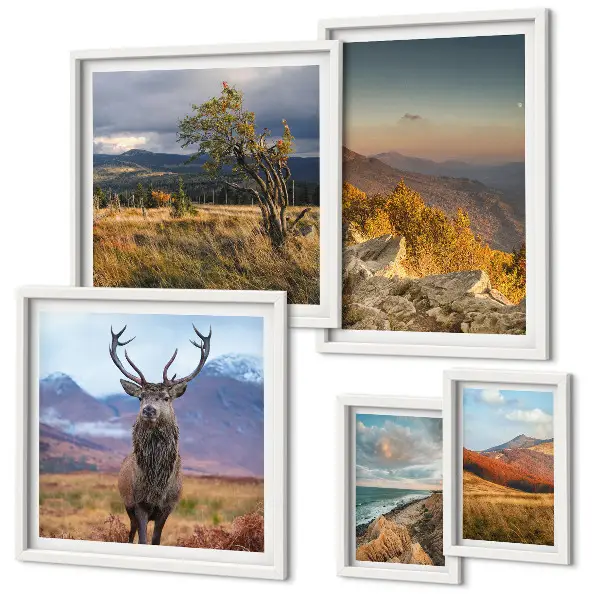 Set di 5 quadri con paesaggi montani e fauna selvatica