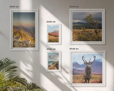Set di 5 quadri con paesaggi montani e fauna selvatica