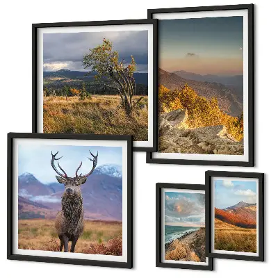 Set di 5 quadri con paesaggi montani e fauna selvatica