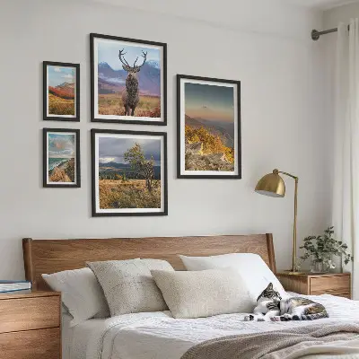 Set di 5 quadri con paesaggi montani e fauna selvatica