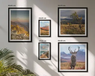 Set di 5 quadri con paesaggi montani e fauna selvatica