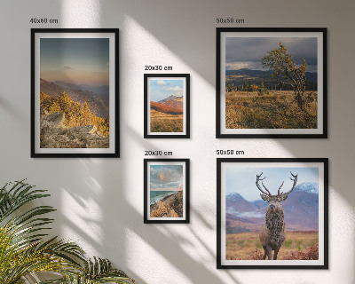 Set di 5 quadri Paesaggi montani ricchi di fauna selvatica